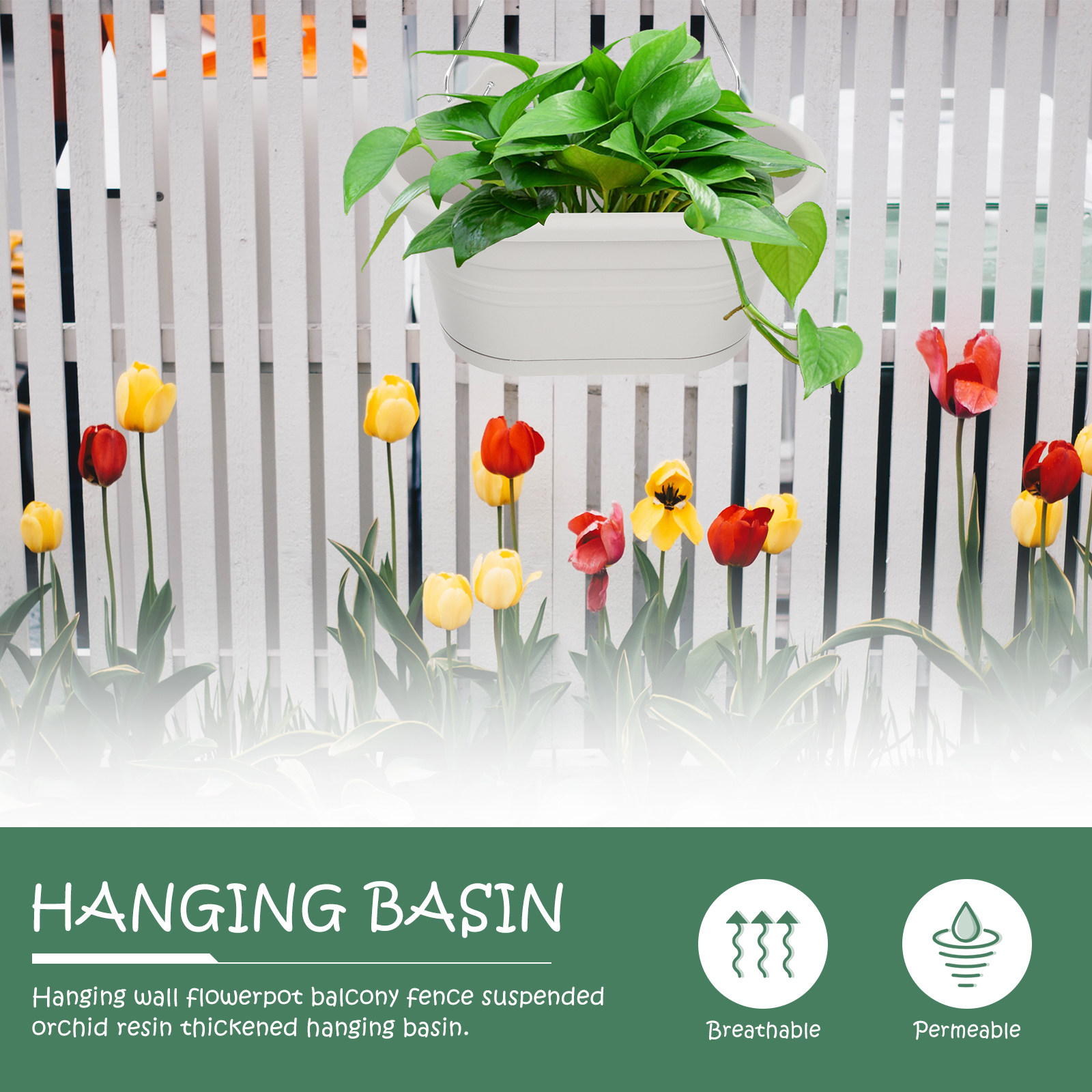 مجموعة أصص زهور معلقة على الحا - مراجعة Spider Plant Hanging وسعره